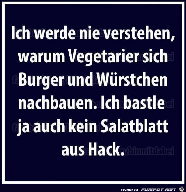 ich werde nie verstehen ich werde nie verstehen