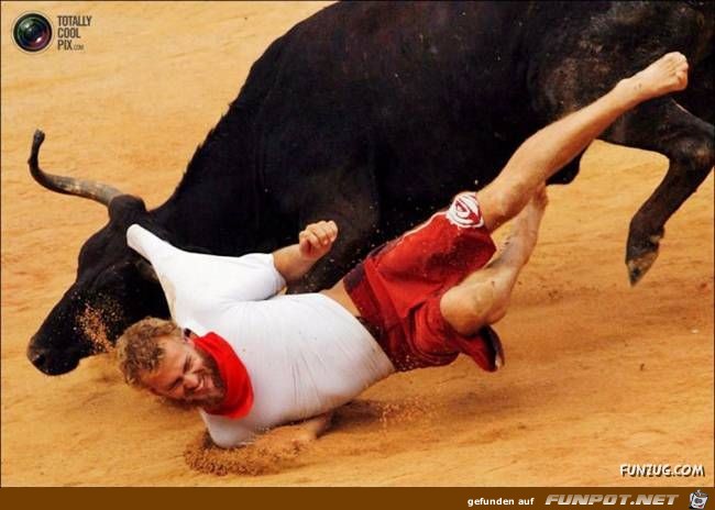 Bulls Brutal Revenge Funzug org 01 Bulls Brutal Revenge Funzug org 01
