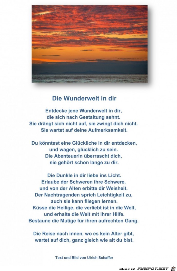 Die Wunderwelt in dir - schaffer Die Wunderwelt in dir - schaffer