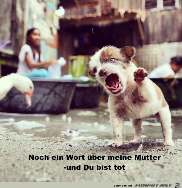 noch ein Wort...