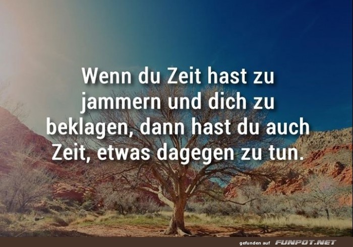 10 sch�ne Spr�che und Lebensweisheiten aus...