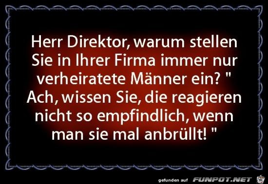 Herr Direktor Herr Direktor