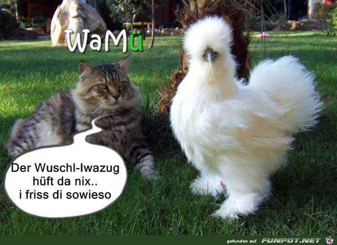 sowieso sowieso