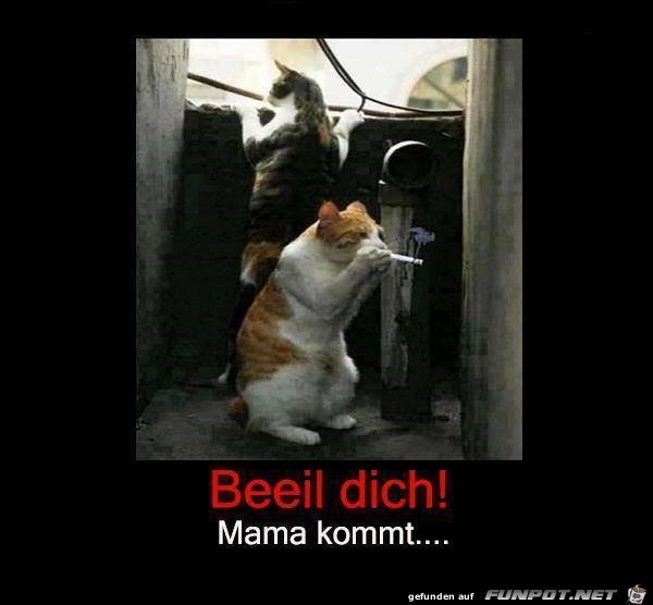 Mama kommt