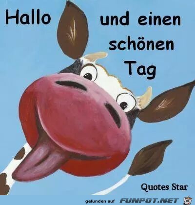 hallo und einen schoenen Tag