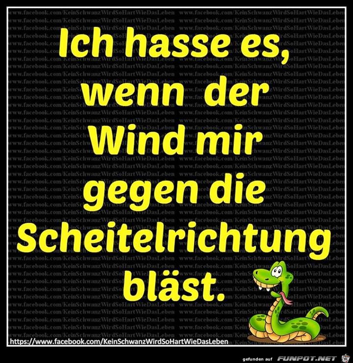 Ich hasse Wind