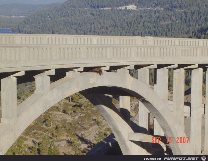 Diese Brcke ist auf der Old Donner