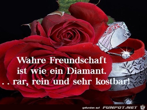 Wahre Freundschaft