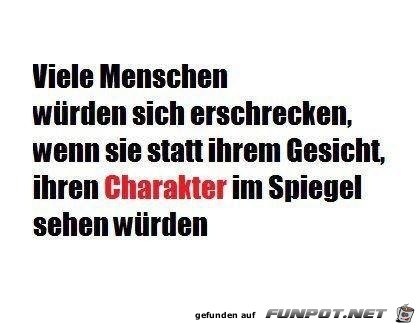 Charakter im Spiegel Charakter im Spiegel
