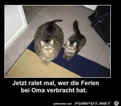 Wer war bei Oma