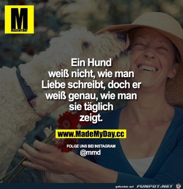 Ein Hund