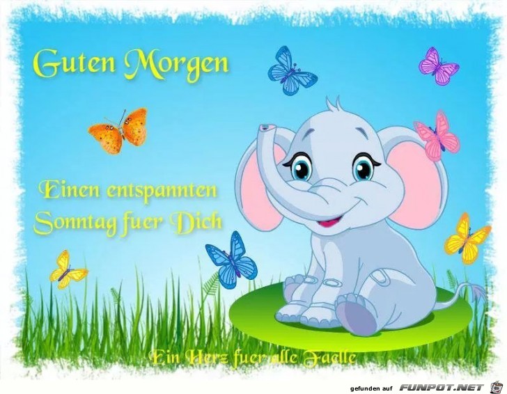Guten Morgen 5 Guten Morgen 5