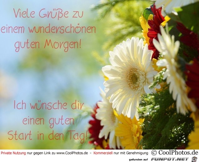 Viele Gruesse Viele Gruesse