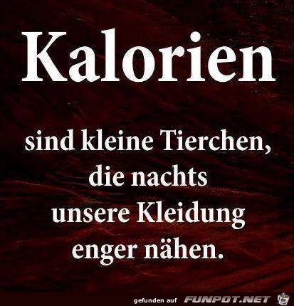 Kalorien Kalorien