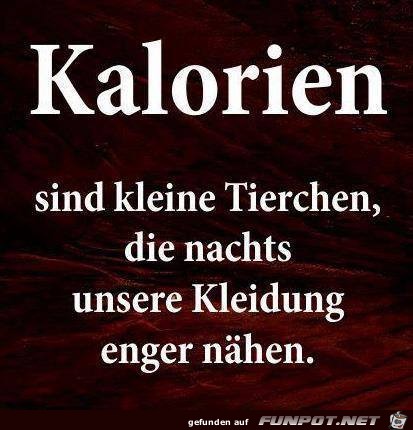 Kalorien