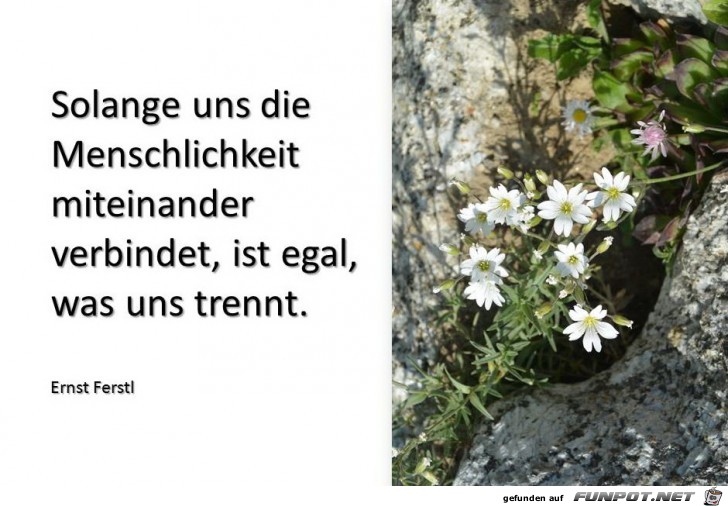 Menschlichkeit Menschlichkeit