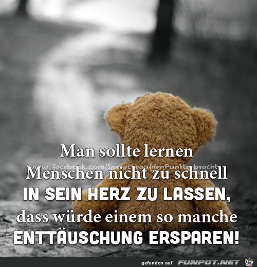 Man sollte lernen Man sollte lernen