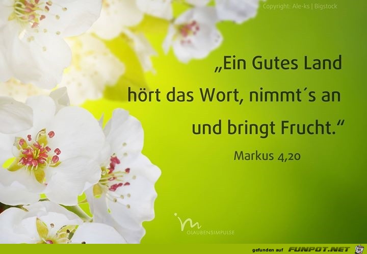 Markus 4,20 Markus 4,20