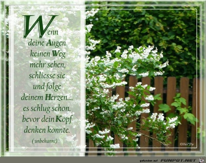 wenn deine Augen wenn deine Augen