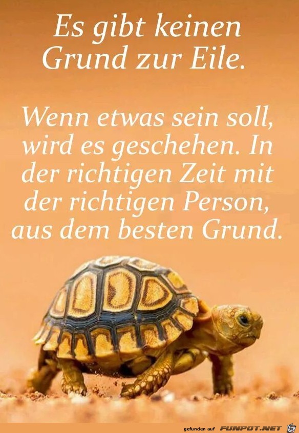 es gibt keinen Grund zur Eile