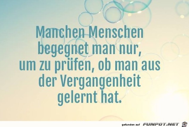 Manche Menschen begegnet man nur