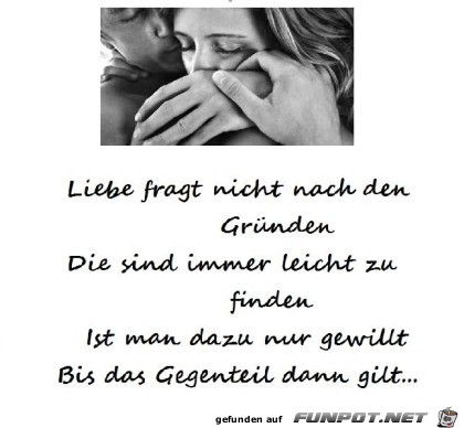 liebe fragt nicht