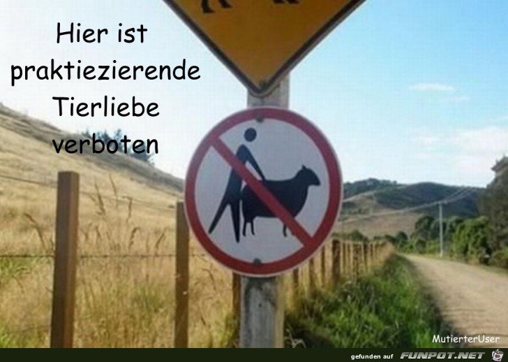 Tierliebe Tierliebe