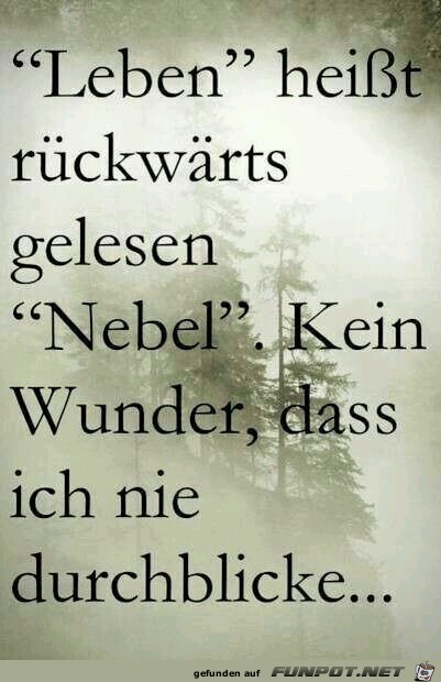 leben heisst leben heisst