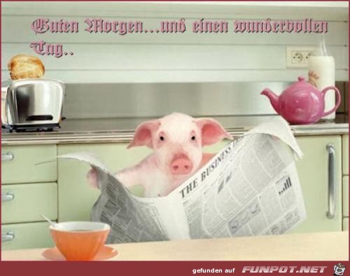 guten morgen 12 guten morgen 12