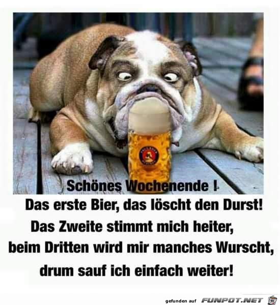 das erste bier