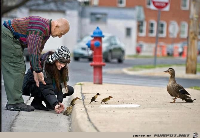 Interessante, lustige und herzergreifende Tieraufnahmen