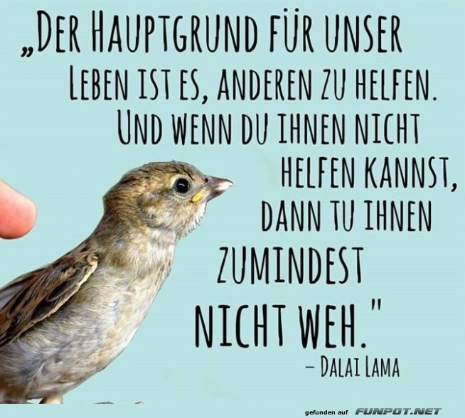 10 schne Sprche und Lebensweisheiten aus...