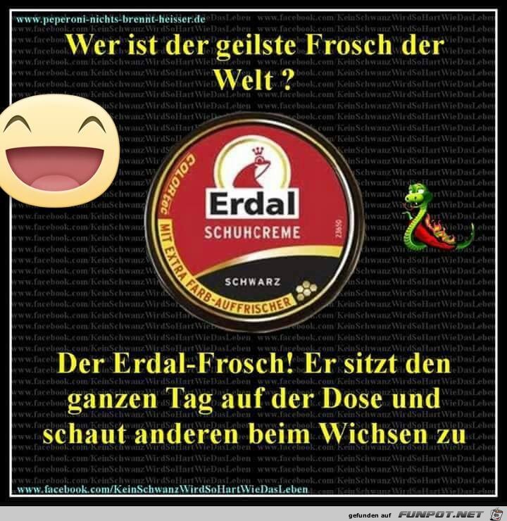 Geiler Frosch