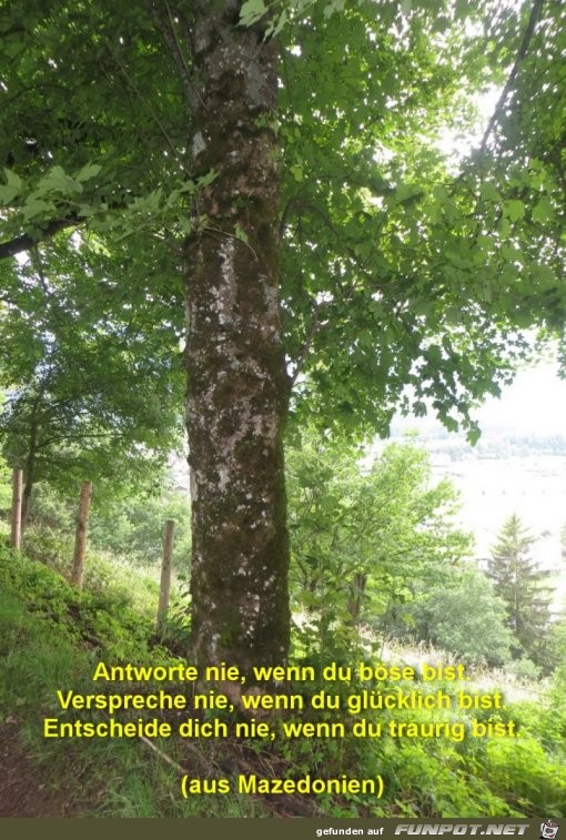 Antworte nie Antworte nie