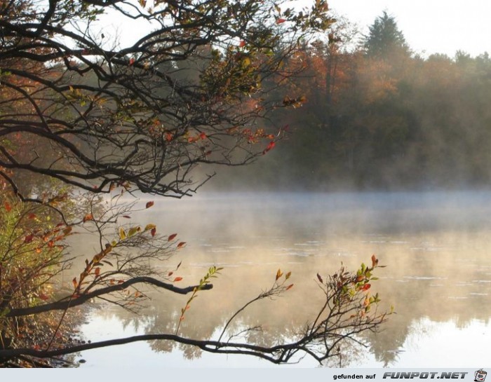 herbst herbst