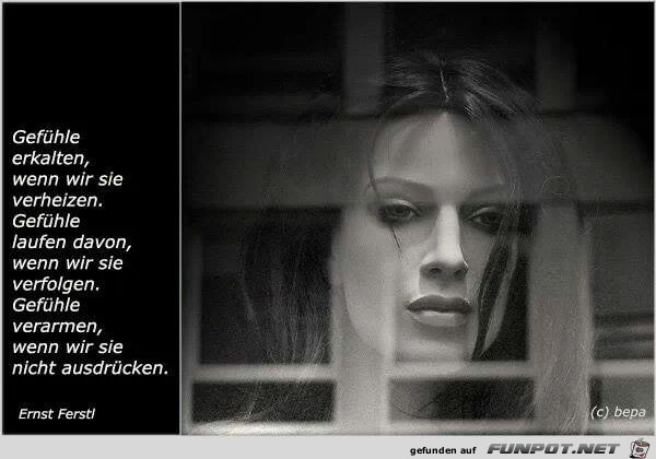 IMG 107260943669712 IMG 107260943669712