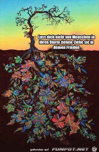 Frieden Frieden
