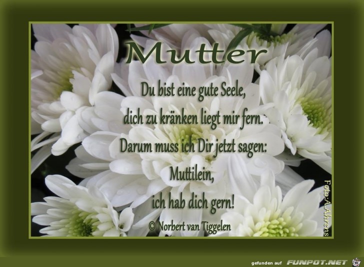 Mutter