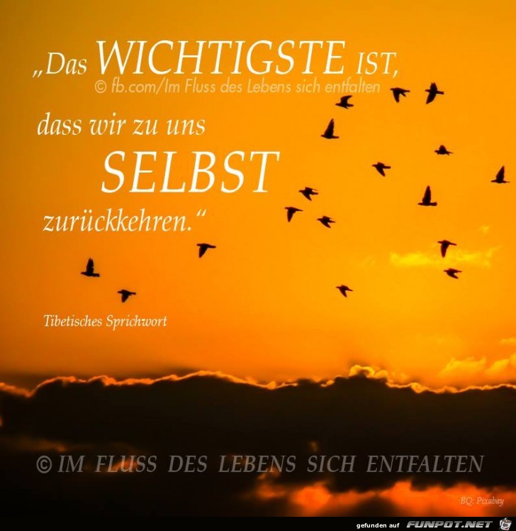 Das wichtigste ist