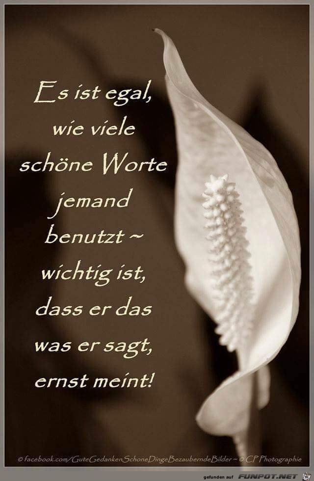 es ist egal es ist egal