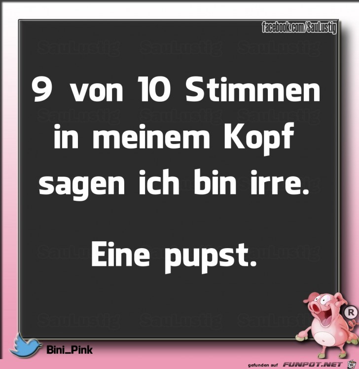 9 von 10 Stimmen sagen