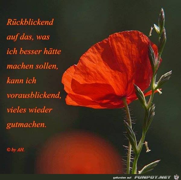 Rueckblickend