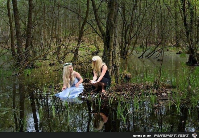 Elfenwald- Elfenwald-