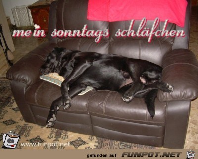 mein sonntags schlaefchen mein sonntags schlaefchen
