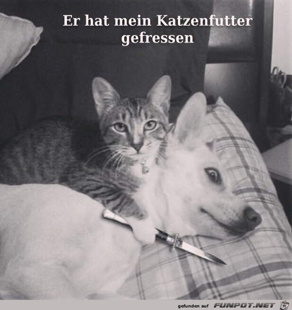 futter futter