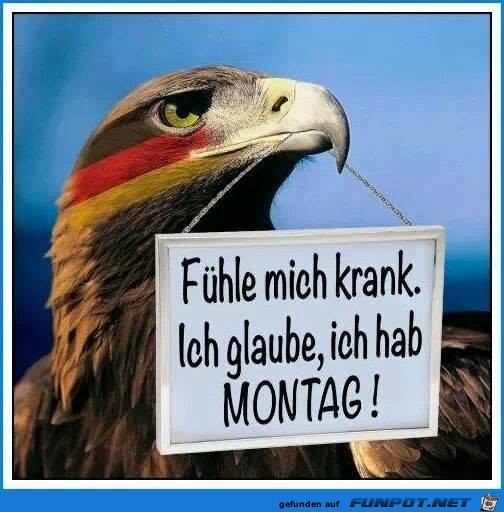 Fuehle mich krank Fuehle mich krank
