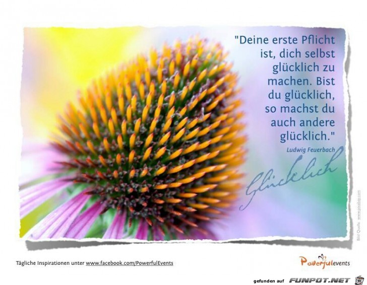 erste Pflicht erste Pflicht