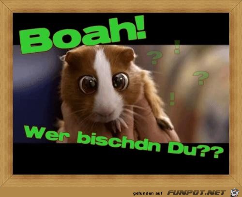 wer bischdn du??? wer bischdn du???