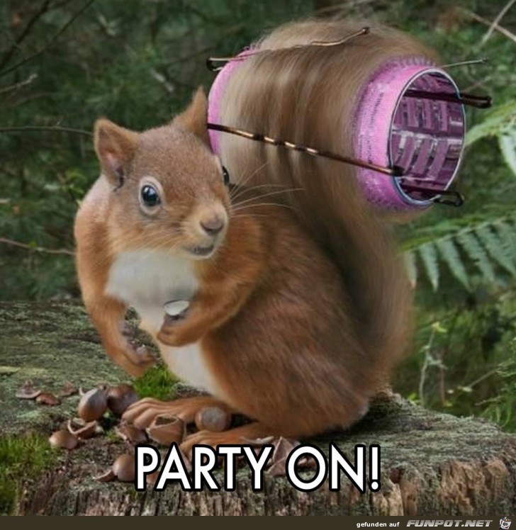 Party on Party on