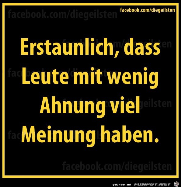 diegeilsten Meinung diegeilsten Meinung